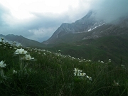 62 verso il Passo Branchino e la Corna Piana...